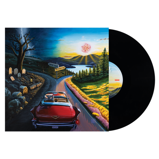 I Don’t Wanna Say Goodbye (Black Vinyl)
